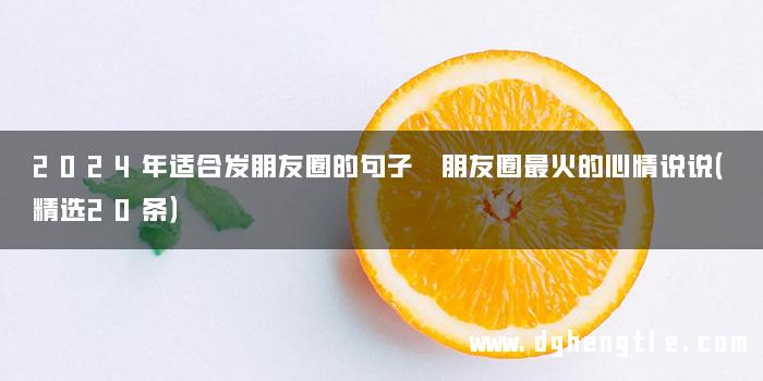 2024年适合发朋友圈的句子 朋友圈最火的心情说说（精选20条）